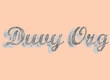 Logo site Duvy Org
